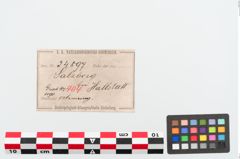 Etiketten zu Bronzearmreif (NHMW-PRAE-024897)